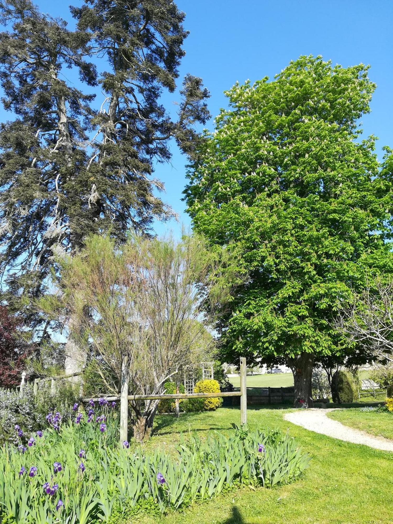 Seuilly Manoir De L'Abbaye B&B 외부 사진